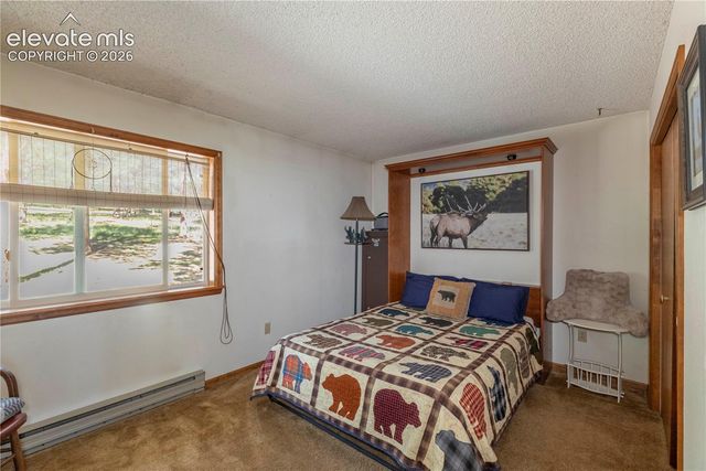 187 Arrowrock Circle, Florissant, CO 80816