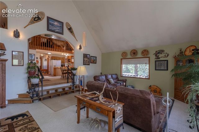 187 Arrowrock Circle, Florissant, CO 80816