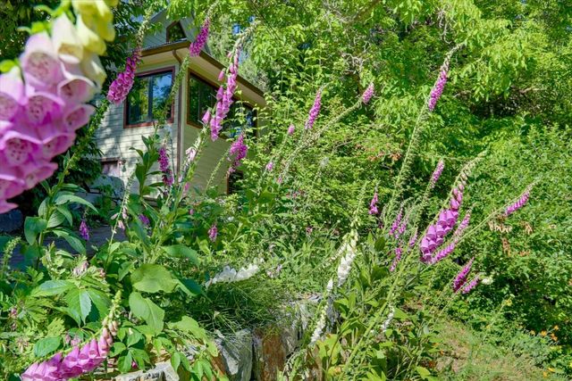 315 Jordan St, Nevada City, CA 95959
