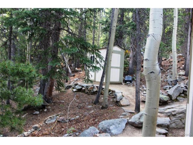 18 Hidden Wildernes Rd, Idaho Springs, CO 80461