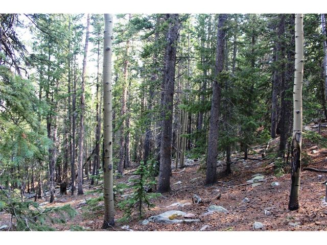 18 Hidden Wildernes Rd, Idaho Springs, CO 80461