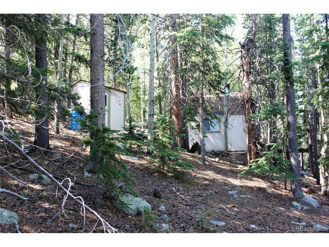 18 Hidden Wildernes Rd, Idaho Springs, CO 80461