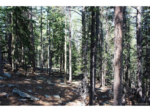 18 Hidden Wildernes Rd, Idaho Springs, CO 80461