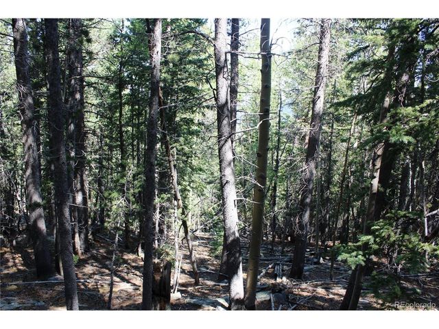 18 Hidden Wildernes Rd, Idaho Springs, CO 80461