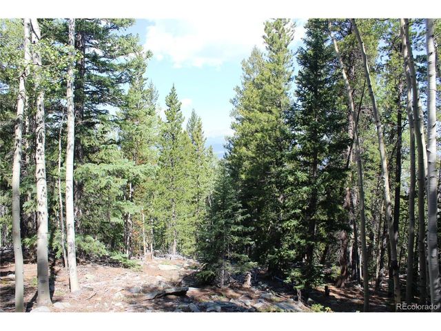 18 Hidden Wildernes Rd, Idaho Springs, CO 80461