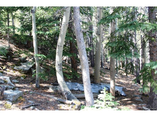 18 Hidden Wildernes Rd, Idaho Springs, CO 80461