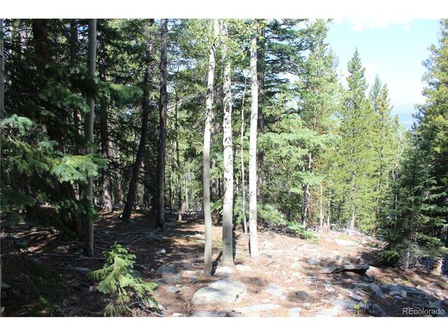18 Hidden Wildernes Rd, Idaho Springs, CO 80461