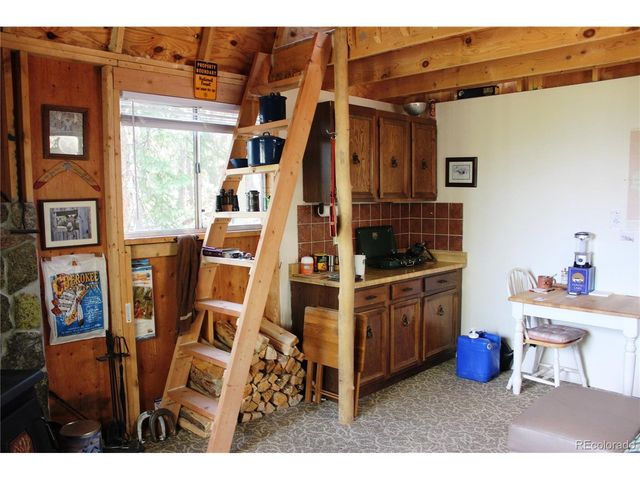 18 Hidden Wildernes Rd, Idaho Springs, CO 80461