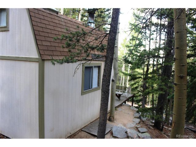 18 Hidden Wildernes Rd, Idaho Springs, CO 80461