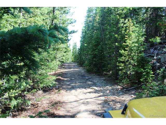 18 Hidden Wildernes Rd, Idaho Springs, CO 80461