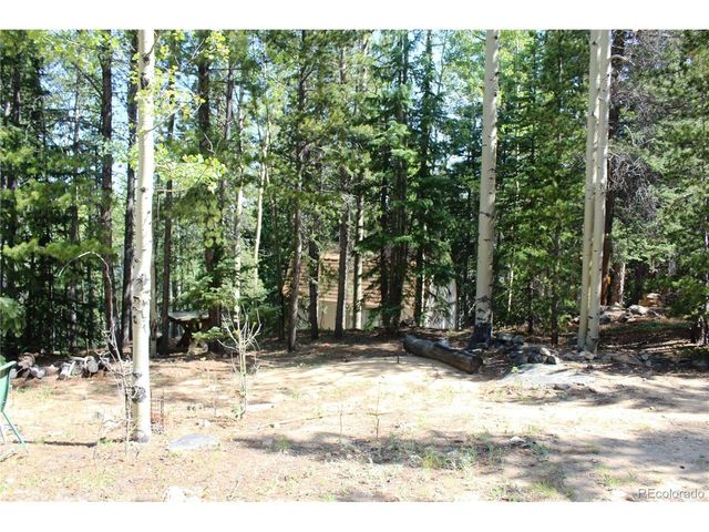 18 Hidden Wildernes Rd, Idaho Springs, CO 80461