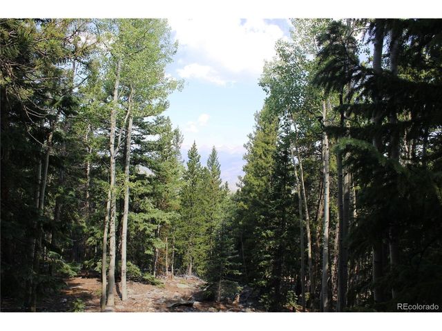 18 Hidden Wildernes Rd, Idaho Springs, CO 80461