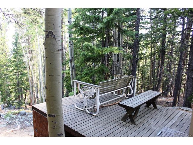 18 Hidden Wildernes Rd, Idaho Springs, CO 80461