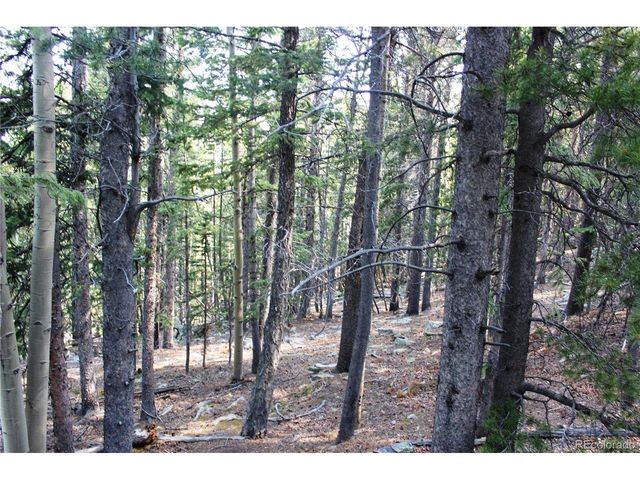 18 Hidden Wildernes Rd, Idaho Springs, CO 80461