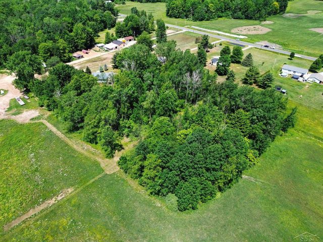 2424 E Shaffer Road, Mills Twp, MI 48642