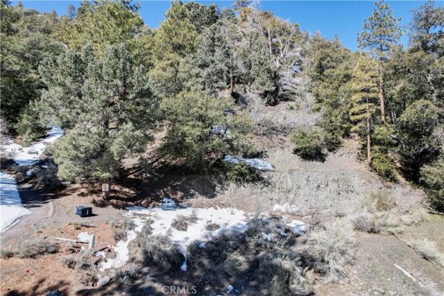 1772 Ash, Wrightwood, CA 92397
