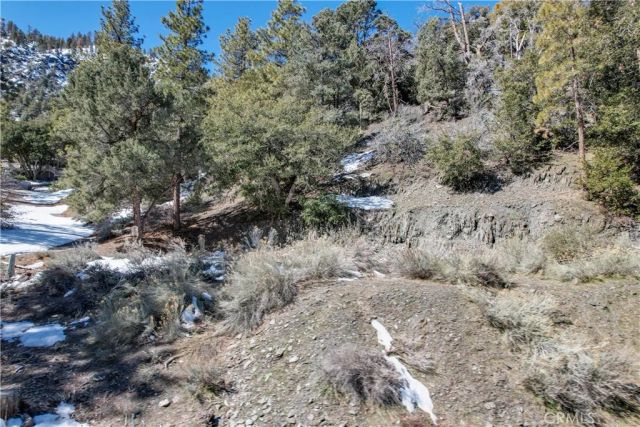 1772 Ash, Wrightwood, CA 92397