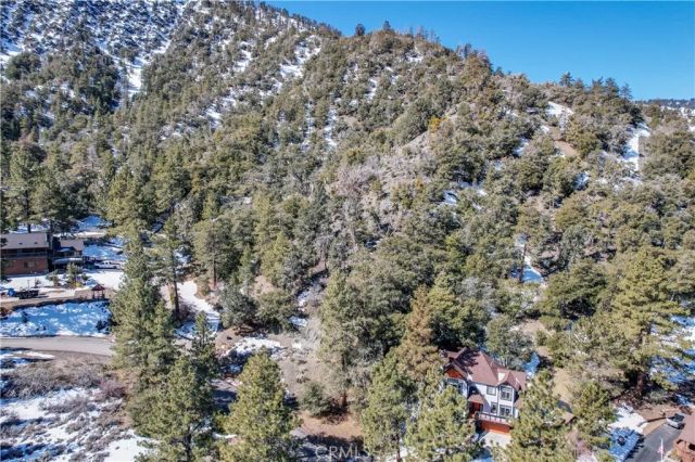 1772 Ash, Wrightwood, CA 92397