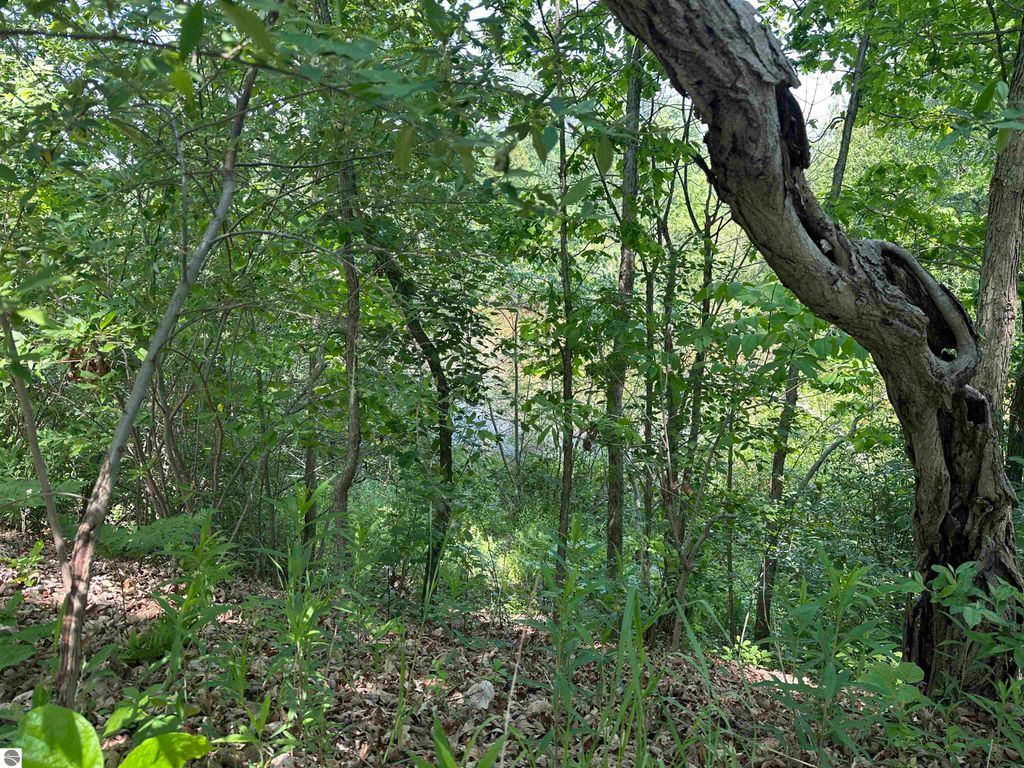 Image 6 of property listing at 1035 Bonanza Lane, Weidman, MI 48893