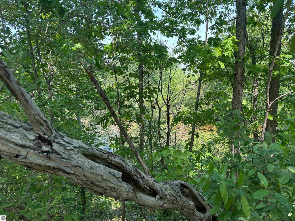 Image 7 of property listing at 1035 Bonanza Lane, Weidman, MI 48893