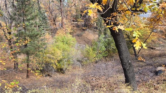 1000 Butte Avenue, Big Bear, CA 92314