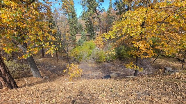 1000 Butte Avenue, Big Bear, CA 92314