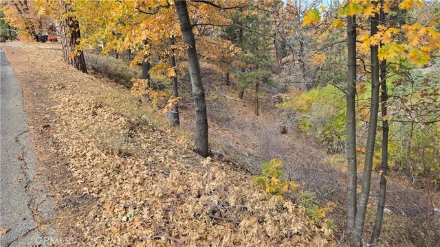 1000 Butte Avenue, Big Bear, CA 92314