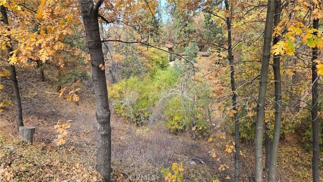 1000 Butte Avenue, Big Bear, CA 92314