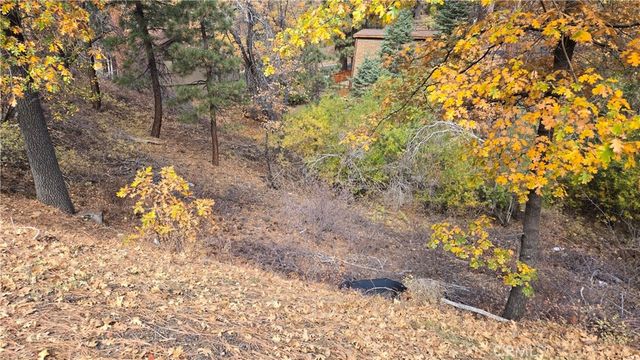 1000 Butte Avenue, Big Bear, CA 92314