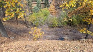 1000 Butte Avenue, Big Bear, CA 92314