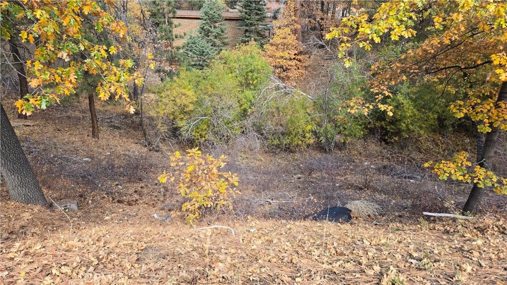 1000 Butte Avenue, Big Bear, CA 92314