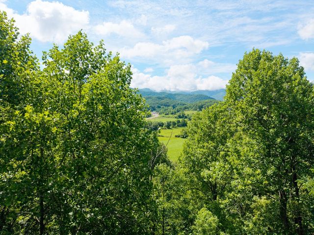 5875 Brasstown Creek Est, Young Harris, GA 30582