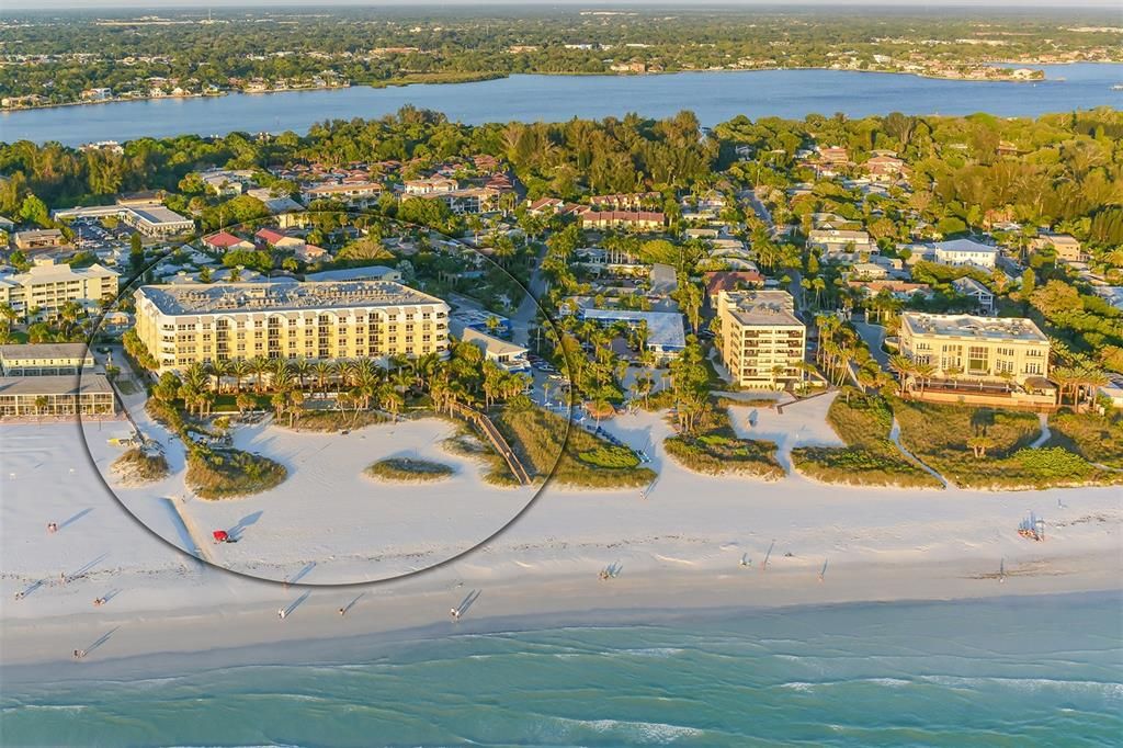 915 SEASIDE DRIVE 312, Weeks 16-17, Sarasota, FL 34242
