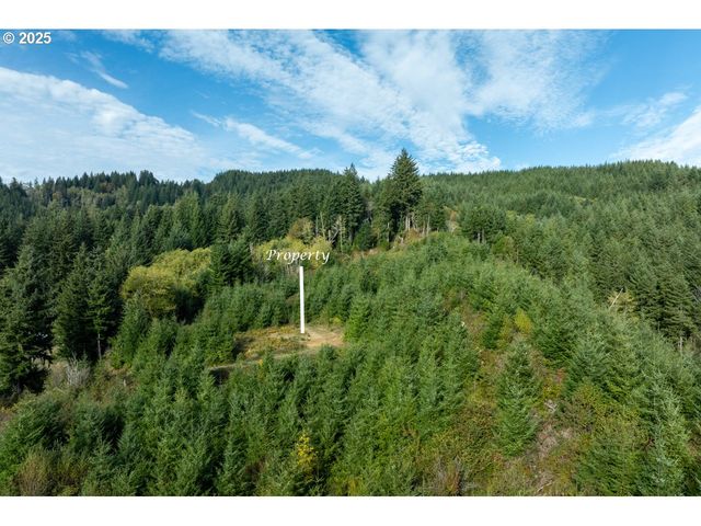 0 Heavy Horse Rd, Lakeside, OR 97449