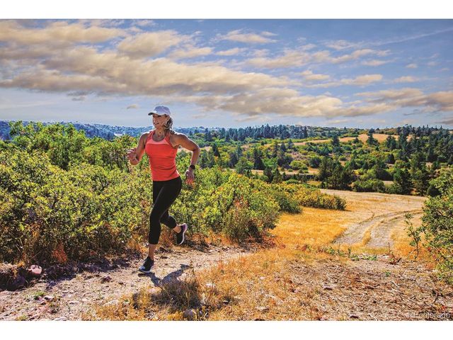 4212 Buttongrass Trl, Castle Rock, CO 80108