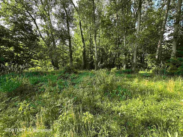 4020 Wieman Road, Billings Twp, MI 48612