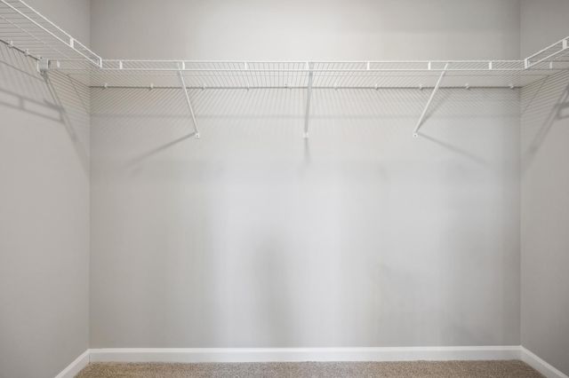 10377 Birchwood Circle, Victoria, MN 55318