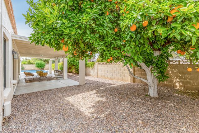 102 W ECHO Lane, Phoenix, AZ 85021