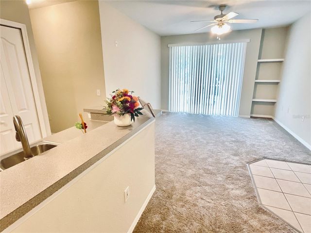 1375 LAKE SHADOW CIRCLE 11203, Maitland, FL 32751