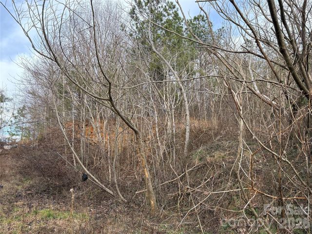 0 Scroggs Cemetery Road 1, Statesville, NC 28677