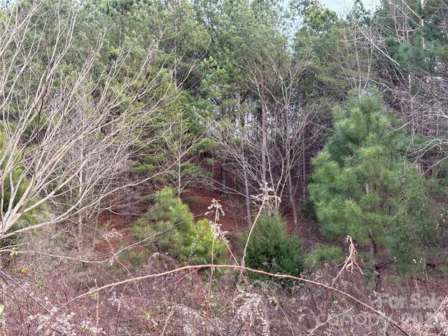 0 Scroggs Cemetery Road 1, Statesville, NC 28677