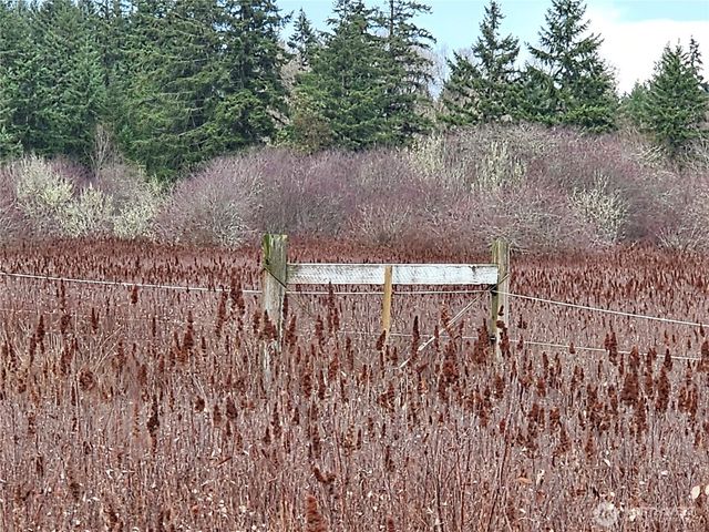 206 184th Avenue Ct NW, Lakebay, WA 98349