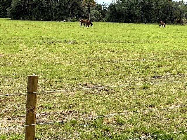 1635 SW RODGERS AVENUE, Arcadia, FL 34266