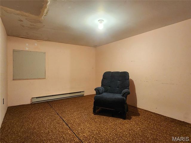 301 S Division Street, Bonne Terre, MO 63628