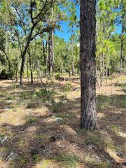 TBD SW 156TH COURT, Ocala, FL 34481
