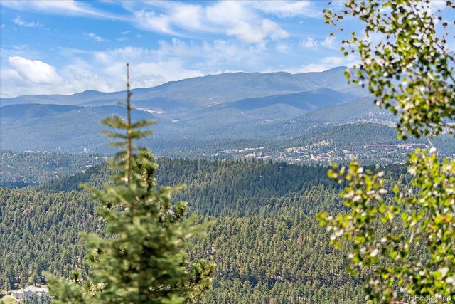 1029 Blue Grass Trail, Evergreen, CO 80439