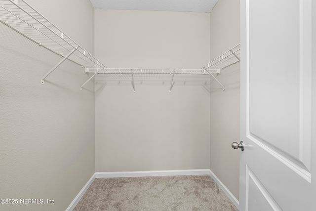 2113 HAWKEYE Place, Fleming Island, FL 32003