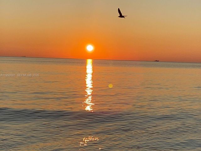 802 Euclid Ave 301, Miami Beach, FL 33139