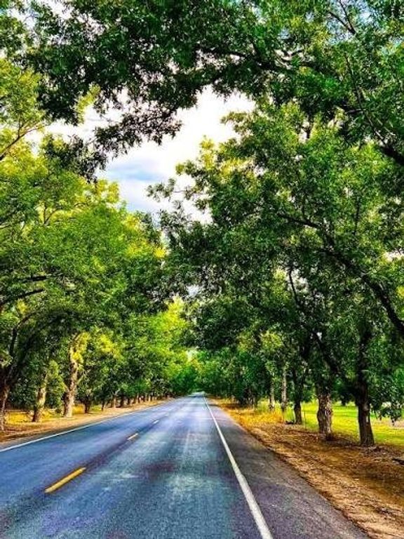 2621 Silver Leaf Lane, Anna, TX 75409