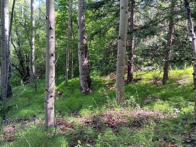 5244 Crossman Rd, Fort Garland, CO 81133